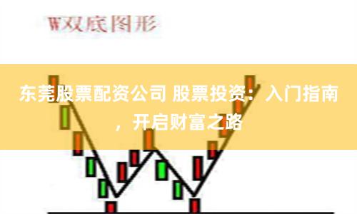 东莞股票配资公司 股票投资：入门指南，开启财富之路