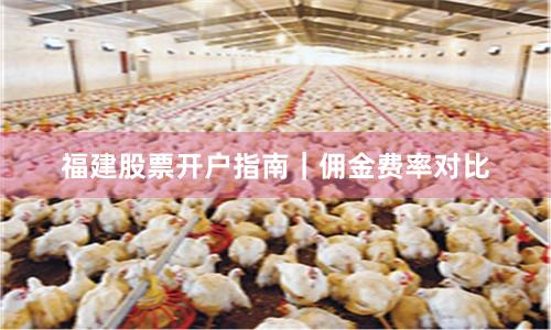 福建股票开户指南｜佣金费率对比
